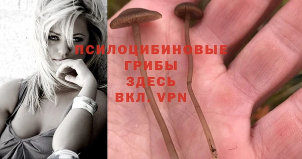 сатива Алексеевка