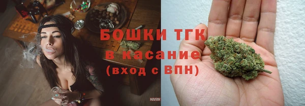 сатива Алексеевка