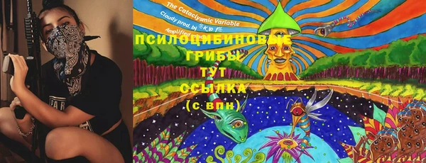 сатива Алексеевка