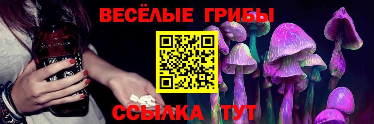 Псилоцибиновые грибы ЛСД  Псилоцибиновые грибы Psilocybe  Вход с VPN  наркота  Ставрополь 