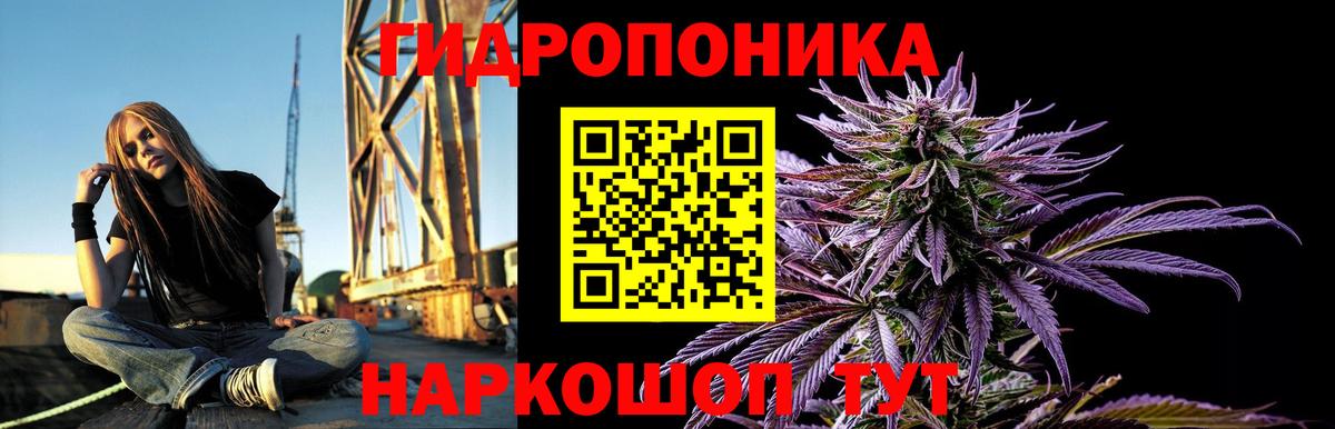 Канабис конопля  Вход с VPN  Шишки марихуана марихуана  Ставрополь  Шишки марихуана VHQ 